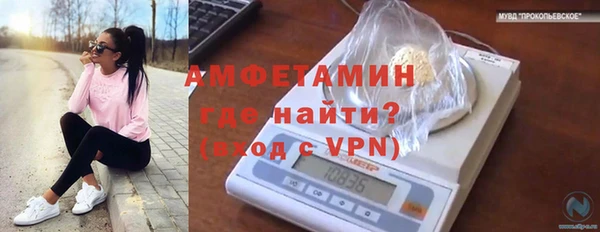 сатива Абинск