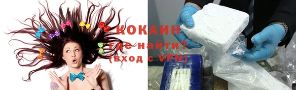 сатива Абинск