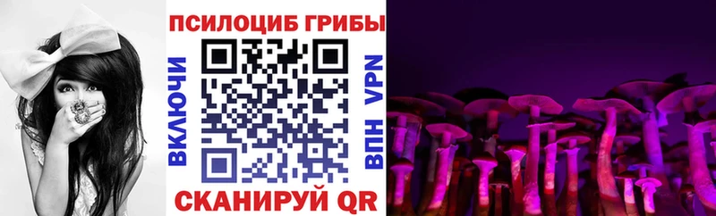 Псилоцибиновые грибы прущие грибы  цены наркотик  Алагир 